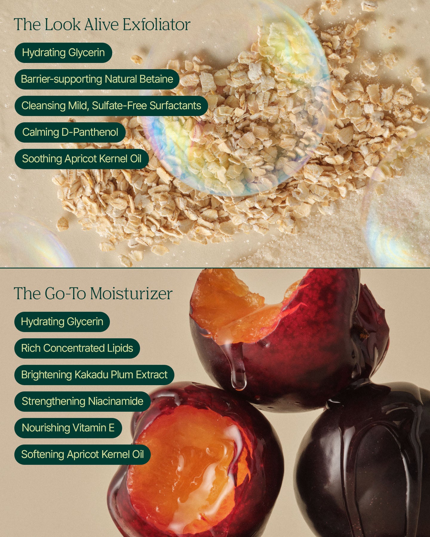 Ingredient collage for The I Slept Set exfoliator and moisturizer