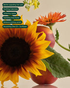 Sunflower ingredient collage for The Everything is Fine Balm
