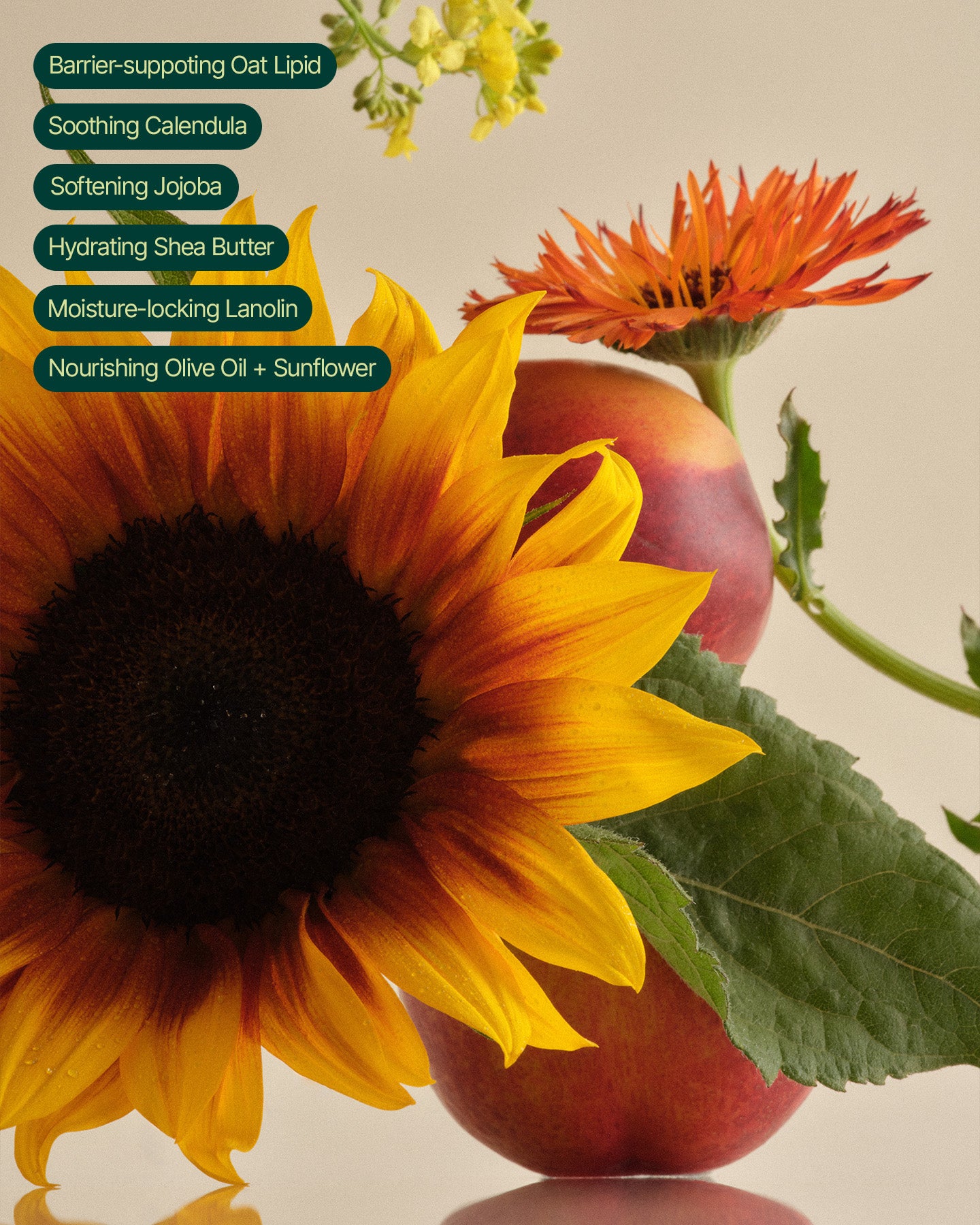 Sunflower ingredient collage for The Everything is Fine Balm
